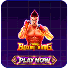 Boxing King