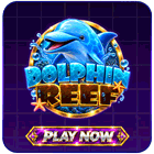 Dolphin Reef